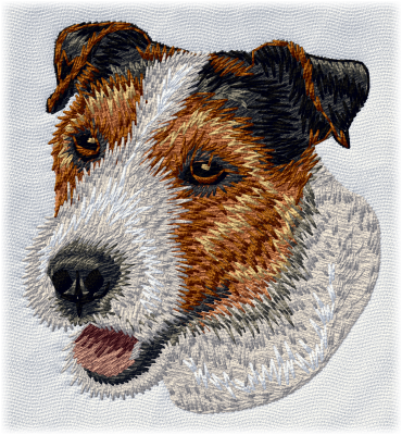 Jack russell terrier - Brodyr 94