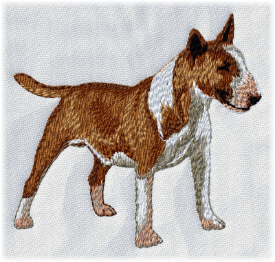 Bullterrier - Brodyr 108