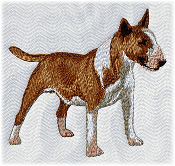 Bullterrier - Brodyr 108
