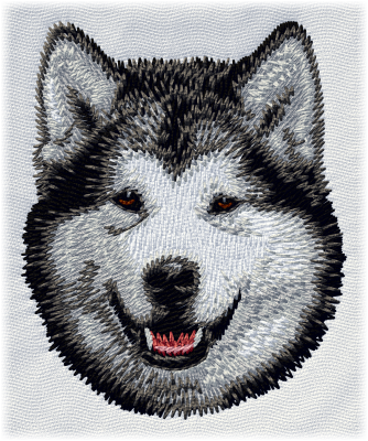 Alaskan malamute - Brodyr 128