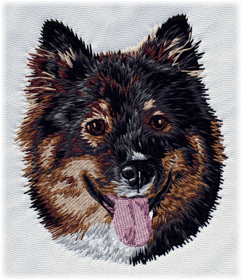 Finsk lapphund - Brodyr 132
