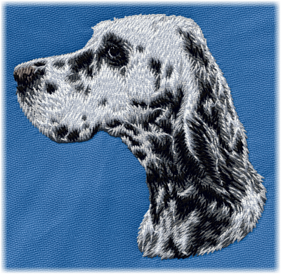 Engelsk setter - Brodyr 139