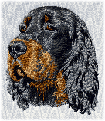 Gordon setter - Brodyr 141