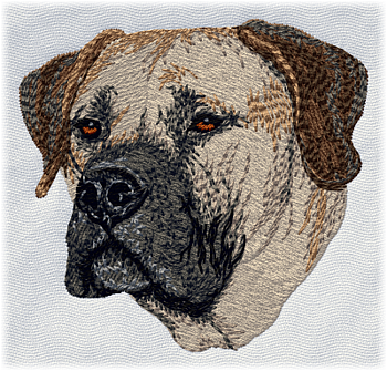 Boerboel - Brodyr 143