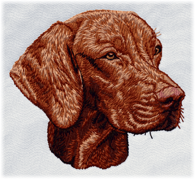 Ungersk vizsla - Brodyr 144