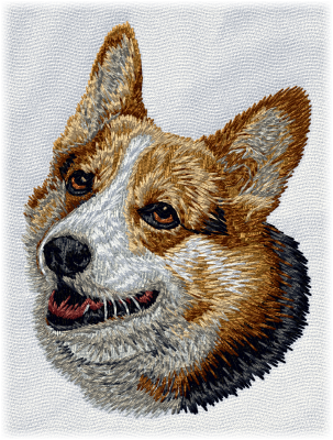 Welsh corgi pembroke - Brodyr 145
