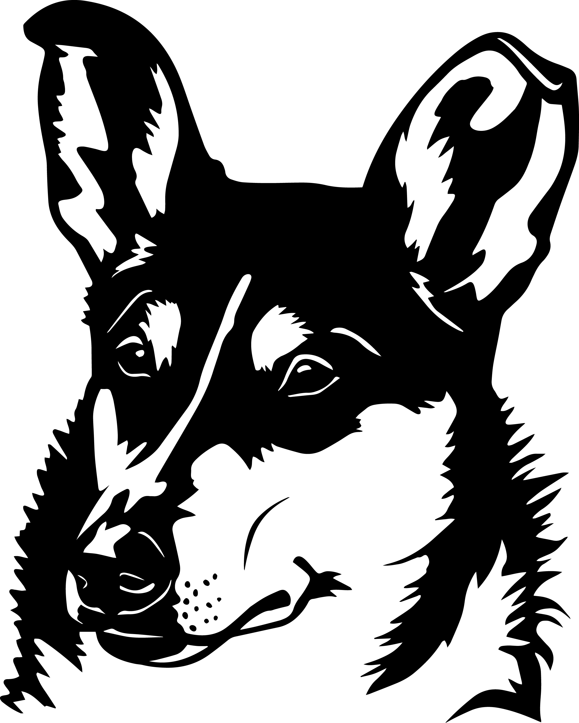 Collie - tryck 7