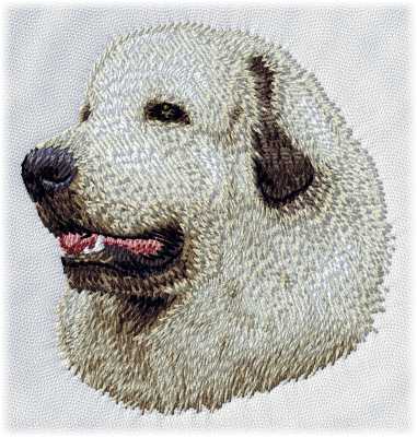 Pyreneerhund - Brodyr 55