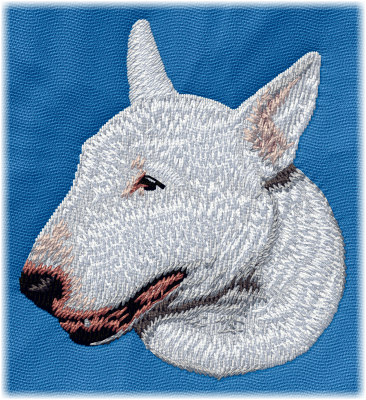 Bullterrier vit - Brodyr 58