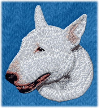 Bullterrier vit - Brodyr 58