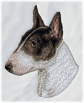Bullterrier vit & svart - Brodyr 60