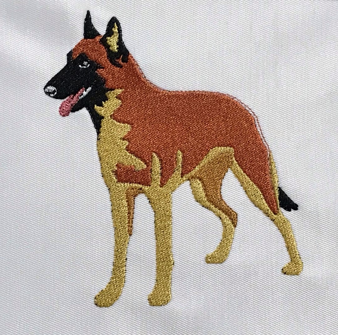 Malinois, malle - Brodyr 10