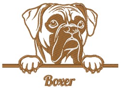 Boxer - Brodyr 51