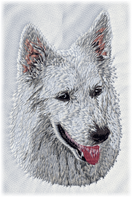 Vit herdehund - Brodyr 160
