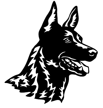 Holländsk herdehund - tryck 31