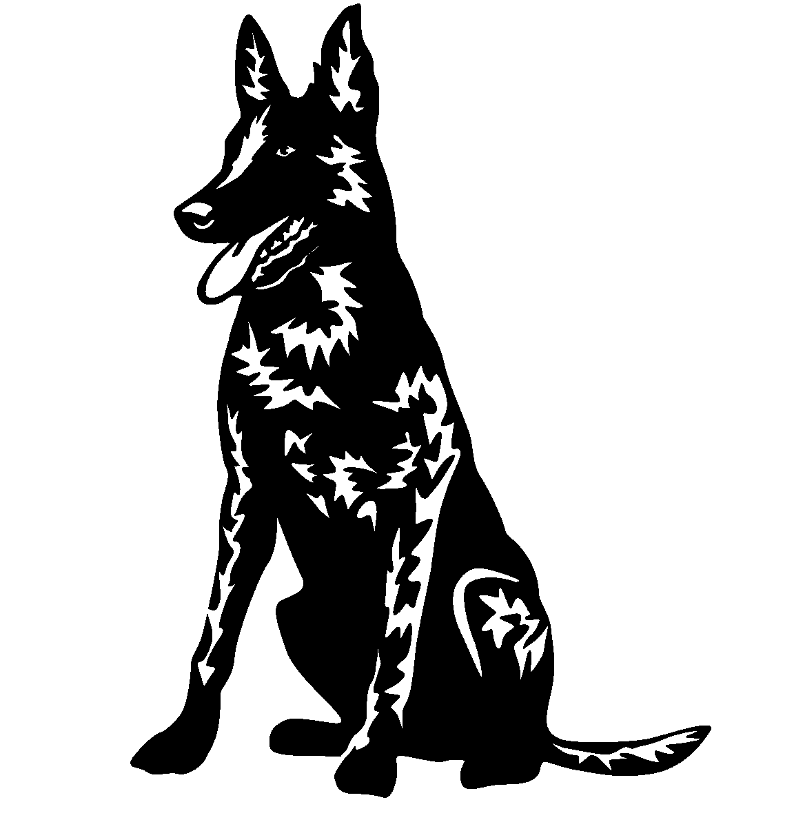 Holländsk herdehund - tryck 32