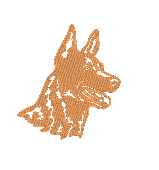 Holländsk herdehund - Brodyr 81