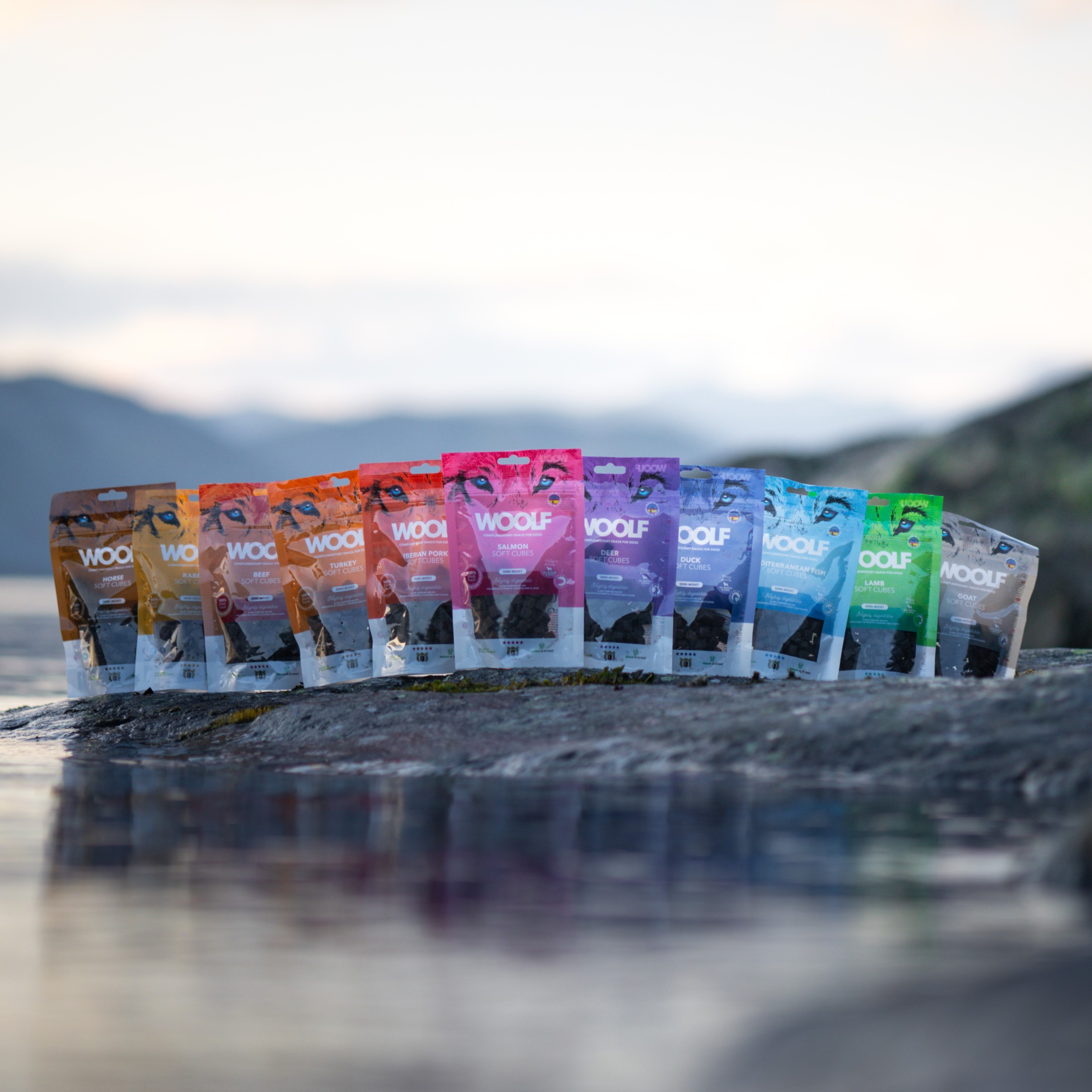 Hundgodis till din bästa vän!  