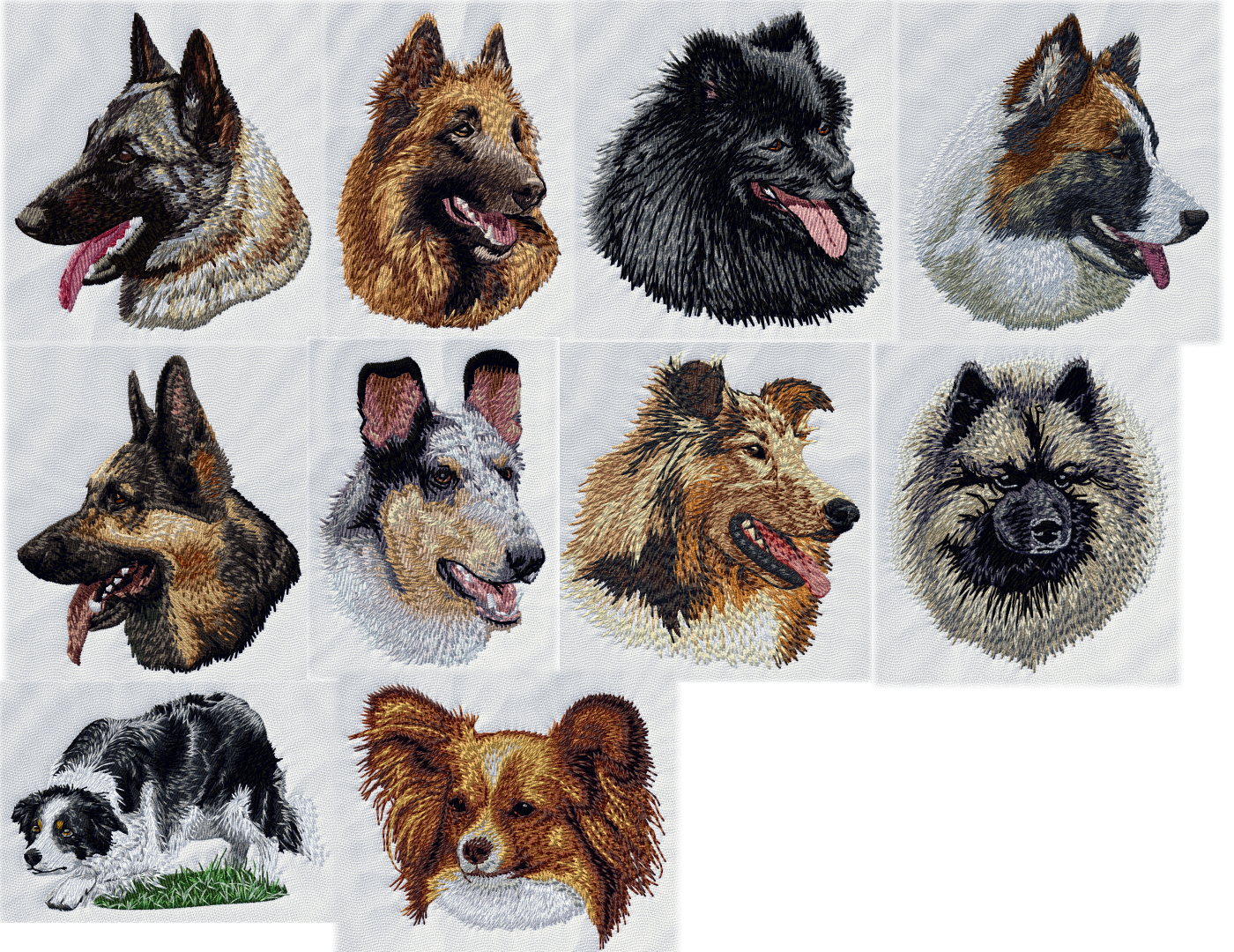 Prisgrupp 3 - Detaljerade hundbrodyrer