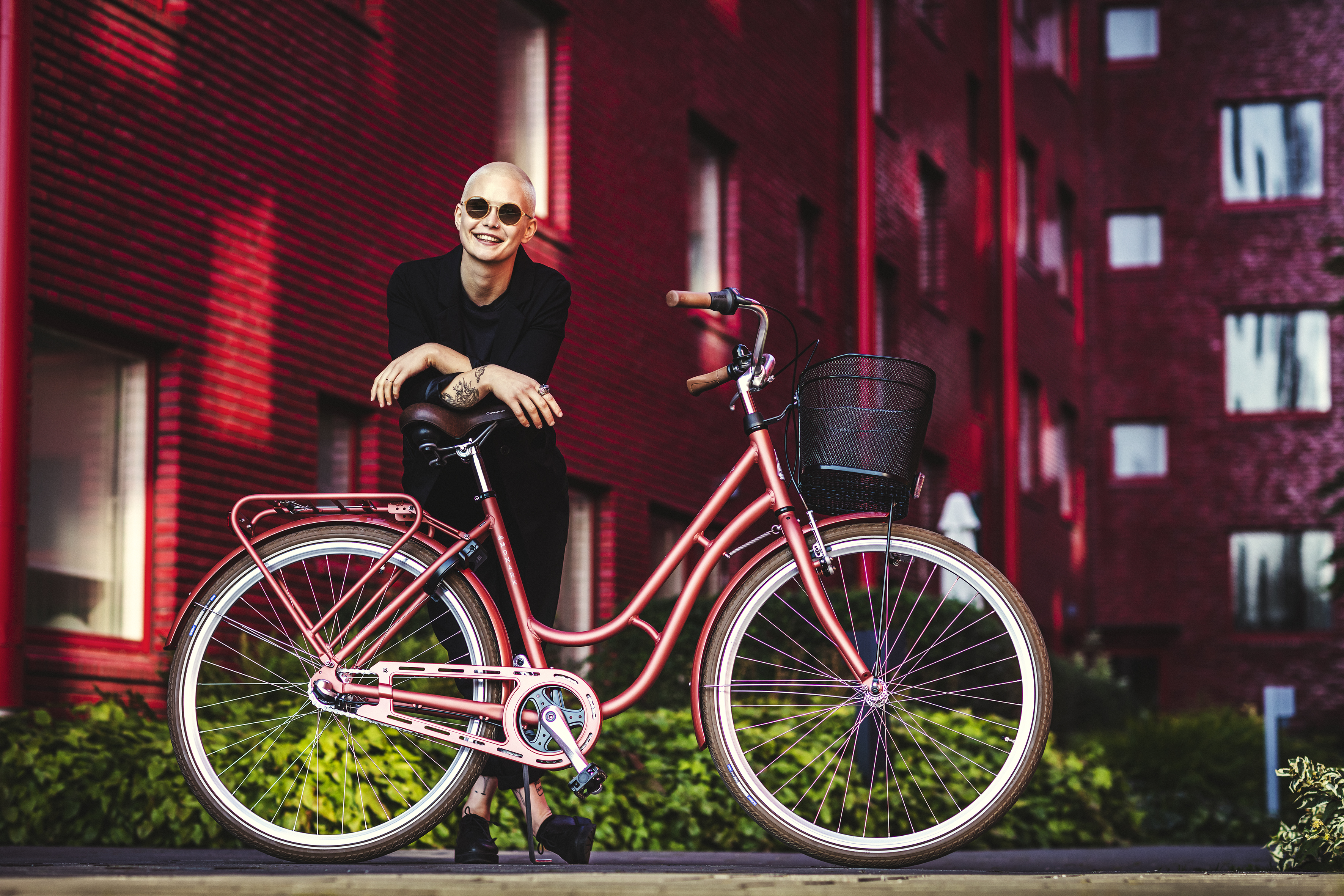 Standardcyklar  