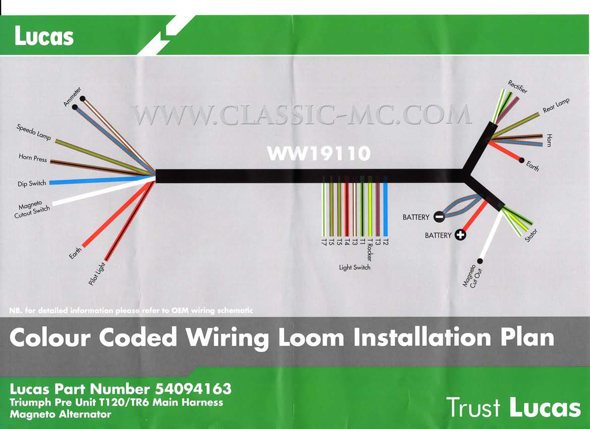 HARNESS MAIN, T100/T110/T120 1962 BRAIDED - 2