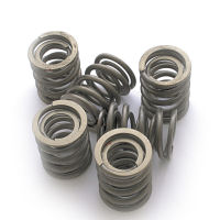 VALVE SPRING SET, P/U 500/650 -1960