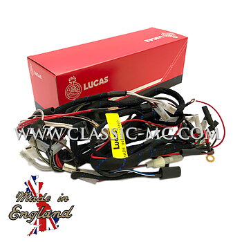 HARNESS MAIN, T100/T120/TR6 1967