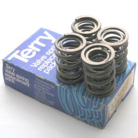 VALVE SPRING SET, UNIT 6T/T110 1963- (TERRY)