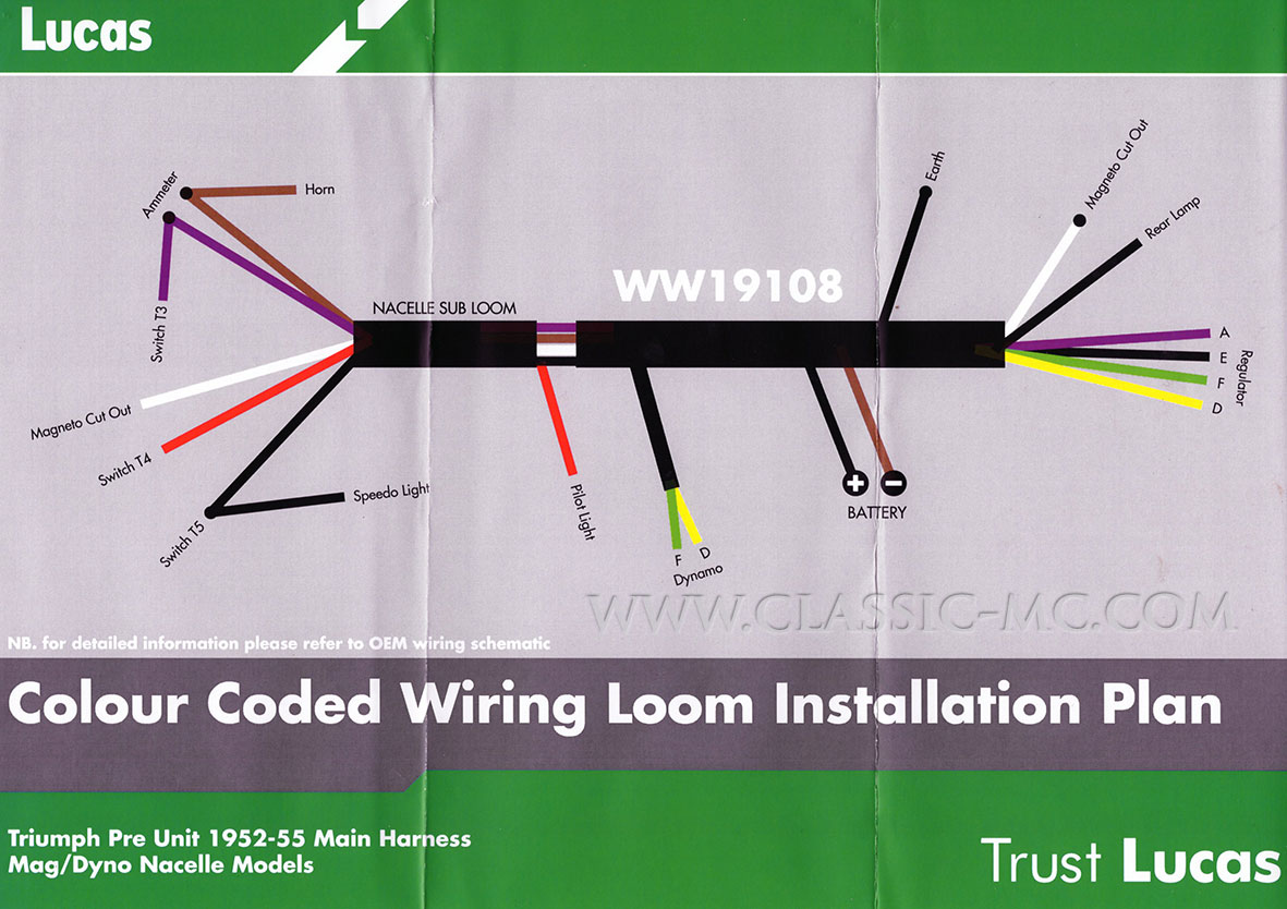 HARNESS MAIN, P/U T100/T110/5T/6T 1952-55 - 2