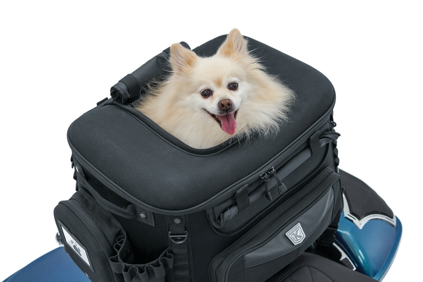 GRAND PET PALACE