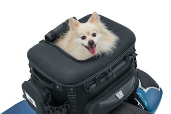 GRAND PET PALACE
