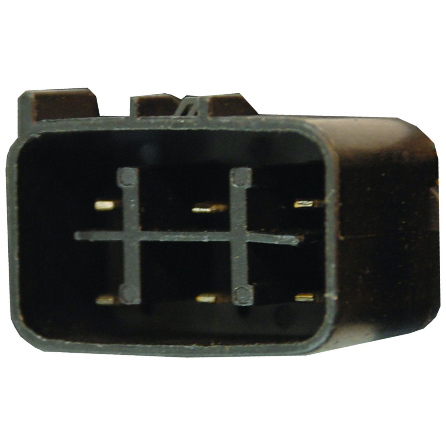 BT1100 Bulldog 2002-2006 - 2