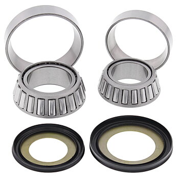 FZS1000/S 2001-2005