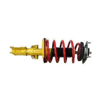 Komplett fjäderben med sportstötdämpare och sänkfjäder sänk 55 mm