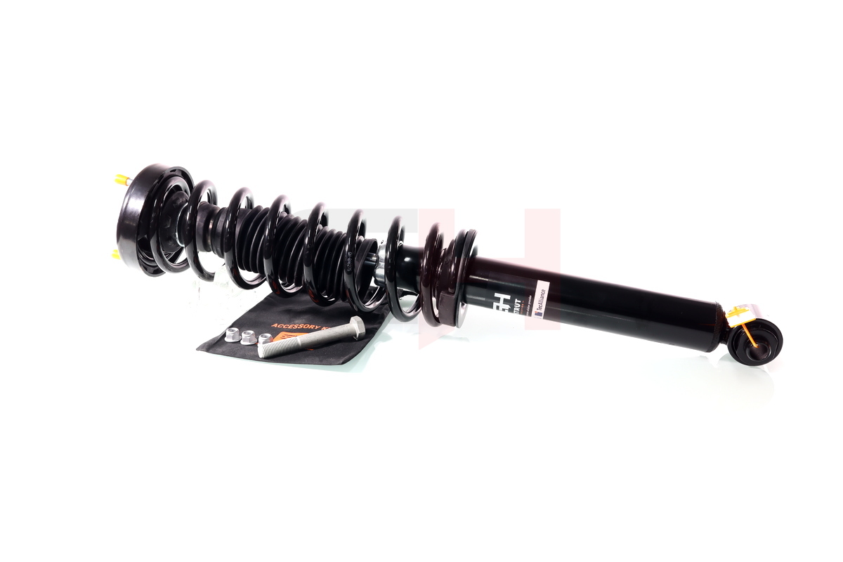 Complete Suspension strut Rear BMW 5 (E39) 11.1995-06.2003