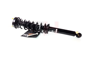 Complete Suspension strut Rear BMW 5 (E39) 11.1995-06.2003
