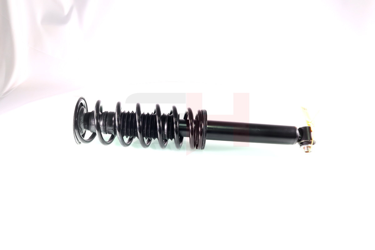 Complete Suspension strut Rear BMW 5 (E60) 03.2003-03.2010 (W/O M-TECHNIC, SPORT chassi)