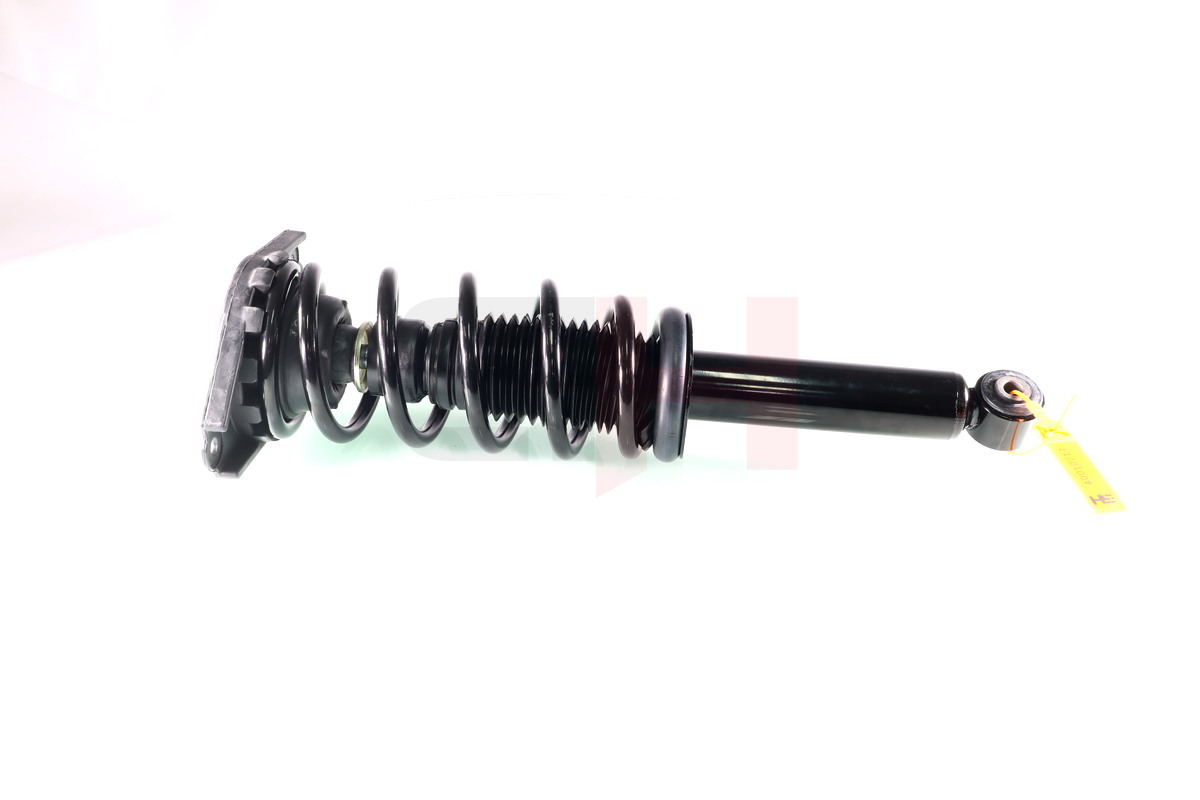 Complete Suspension strut Rear NISSAN PRIMERA KOMBI (WP12) 12.2001-01.2008
