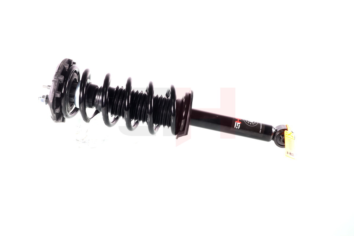 Complete Suspension strut Rear NISSAN MAXIMA (A33, CA33) 01.2000-01.2004