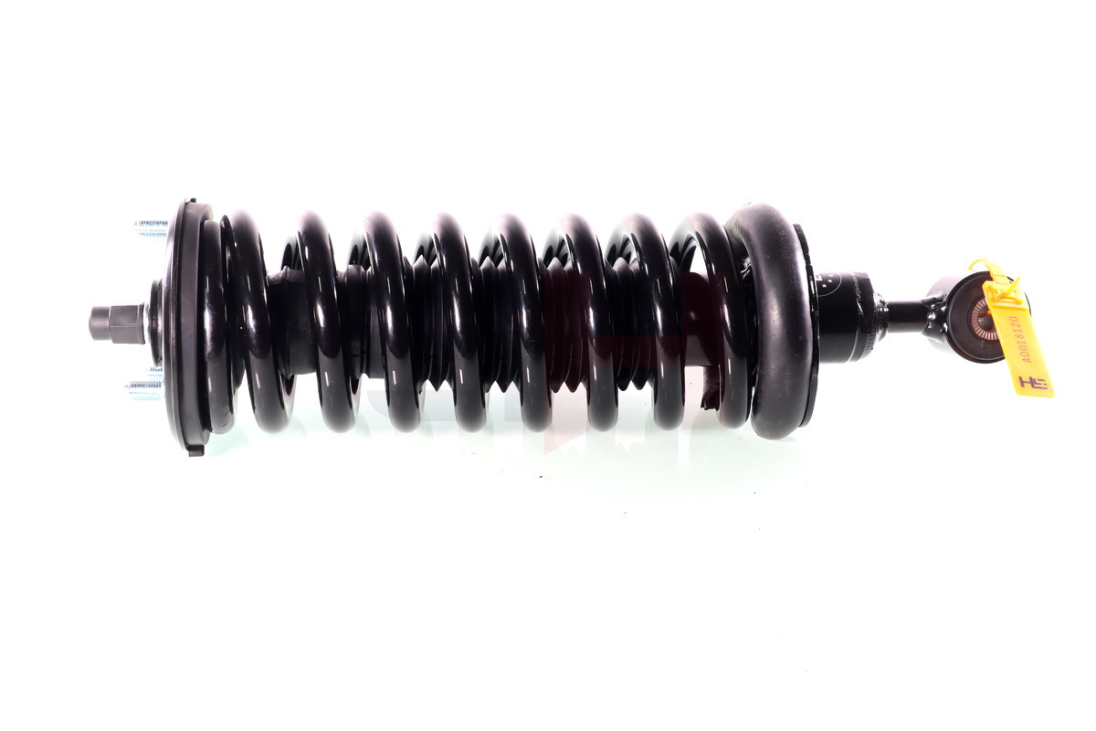 Complete Suspension strut front NISSAN PATHFINDER (R51) 03.2005- 2.5DCI 4WD, 4.0 4WD