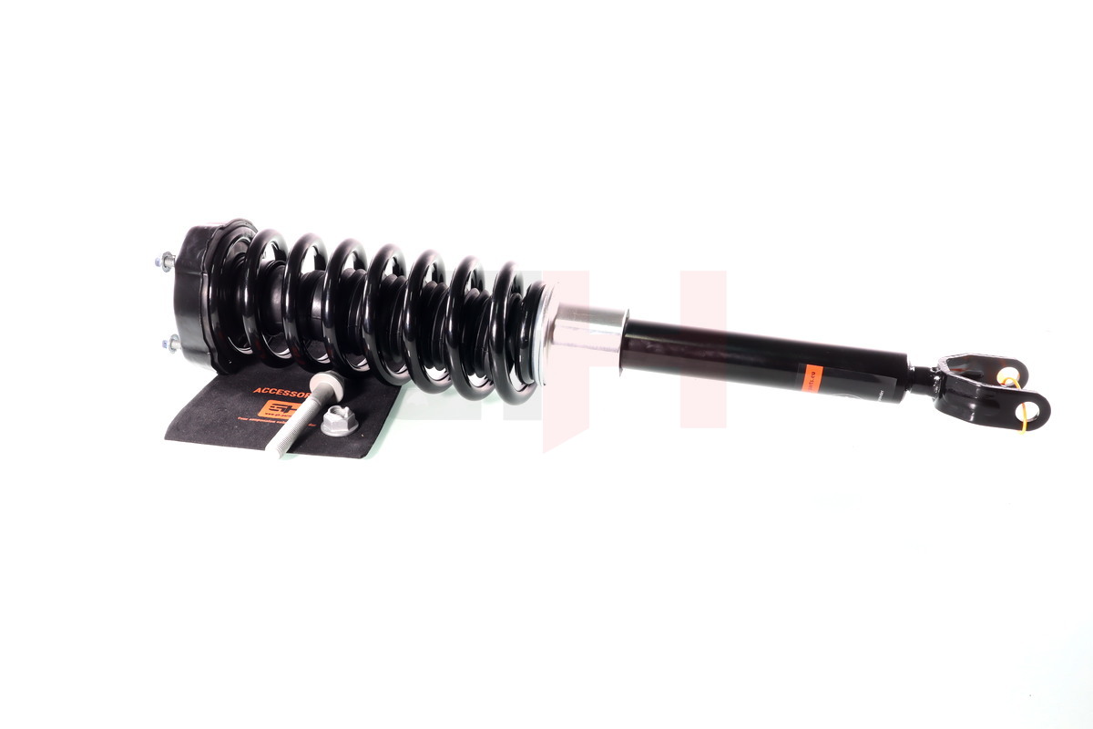Complete Suspension strut front MERCEDES E-CLASS (211, W211)  03.2002-12.2008 E240 (W/O 4-MATIC, SPORT chassi)