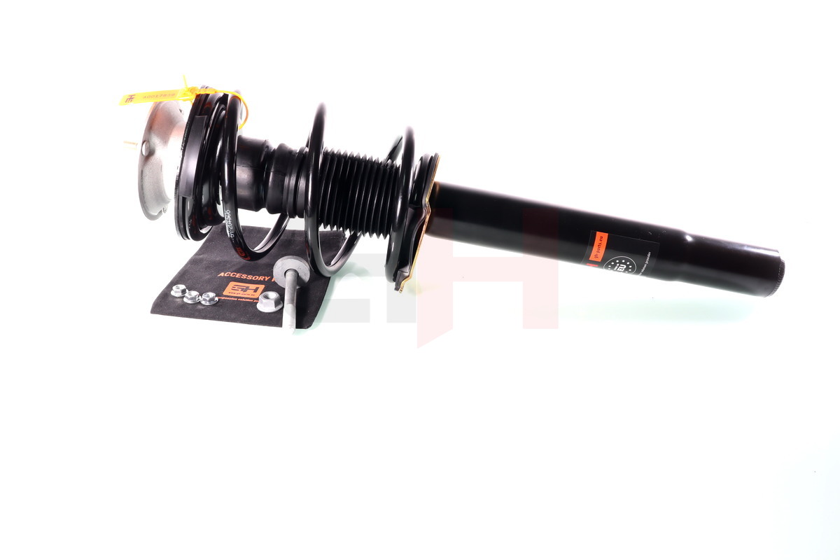 Complete Suspension strut front BMW 5 (E39) 520I, 520D, 523I, 525I, 528I (W/O M-TECHNIC)