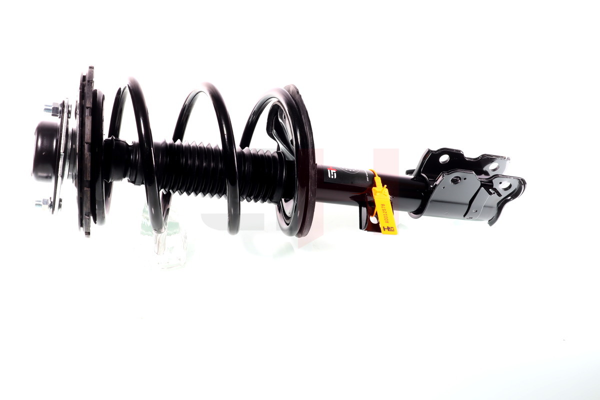 Complete Suspension strut front NISSAN MURANO (Z50) 08.2003-