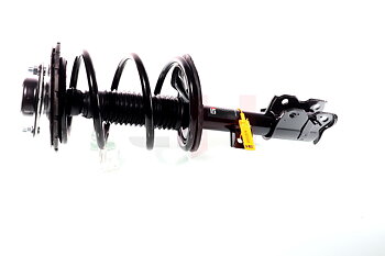 Complete Suspension strut front NISSAN MURANO (Z50) 08.2003-