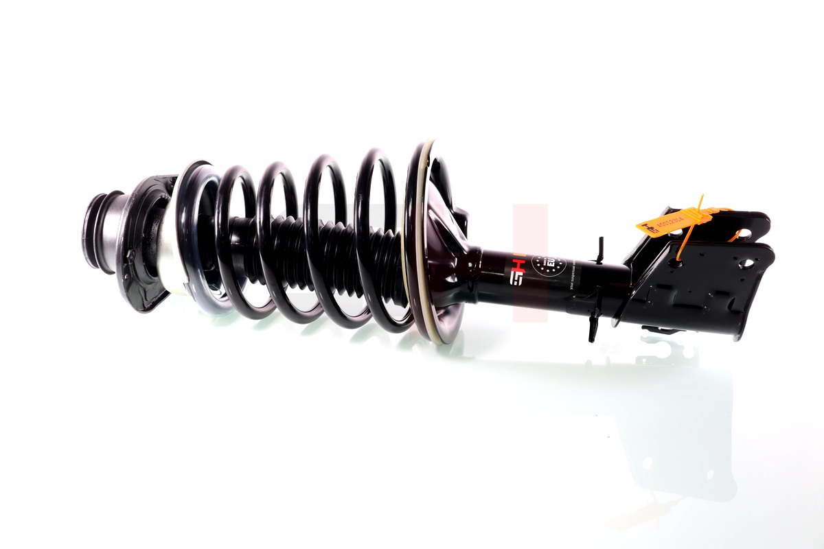 Complete Suspension strut front FIAT DOBLO I (119) 01.2000- 1.3D MULTIJET, 1.9JTD, 1.9D MULTIJET (W/O 1.9D 46KW)