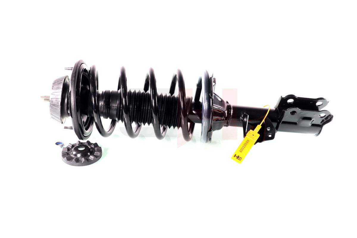 Complete Suspension strut front KIA PICANTO (BA) 01.2004-04.2011 1.0, 1.1