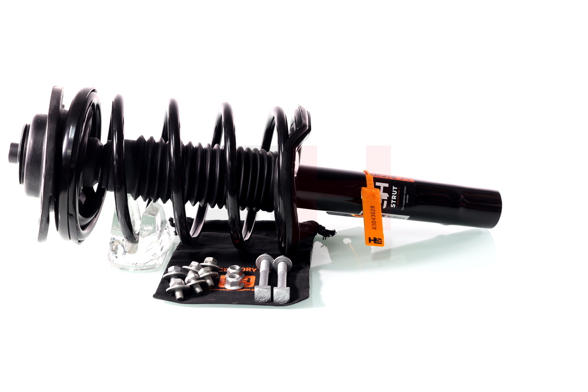 Complete Suspension strut front PEUGEOT 206 2.0 S16, 2.0GTI