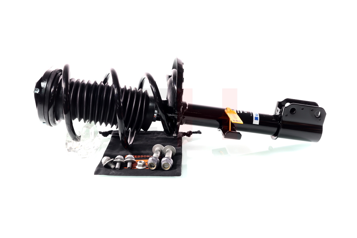 Complete Suspension strut front RENAULT CAPTUR 06.2013-> 1.2TCE 120, 1.5DCI