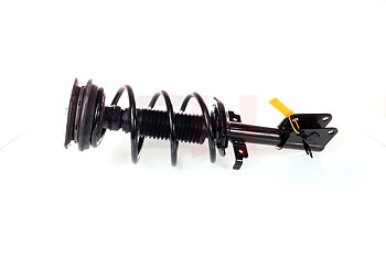 Complete Suspension strut front RENAULT LAGUNA II 01.2001-02.2008 2.2DCI, 3.0 V6