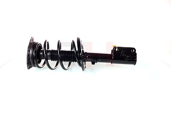 Complete Suspension strut front RENAULT LAGUNA III 10.2007- 2.0 16V TURBO, 2.0DCI